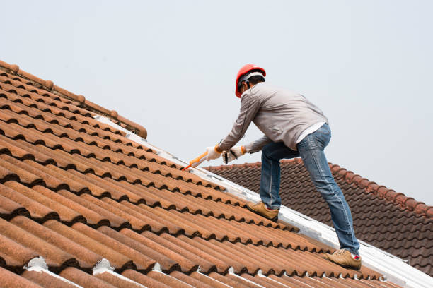 Best Metal Roofing Installation  in Winfield, AL