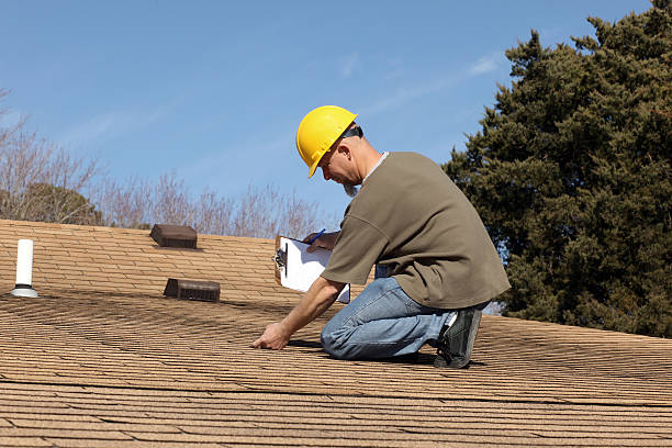 Best Solar Panel Roofing Installation  in Winfield, AL