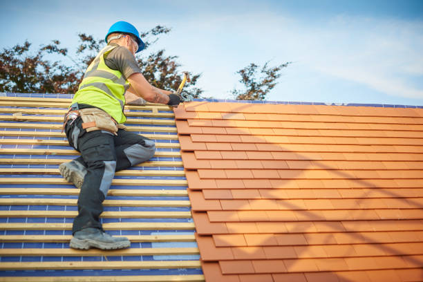 Best Roof Moss and Algae Removal  in Winfield, AL